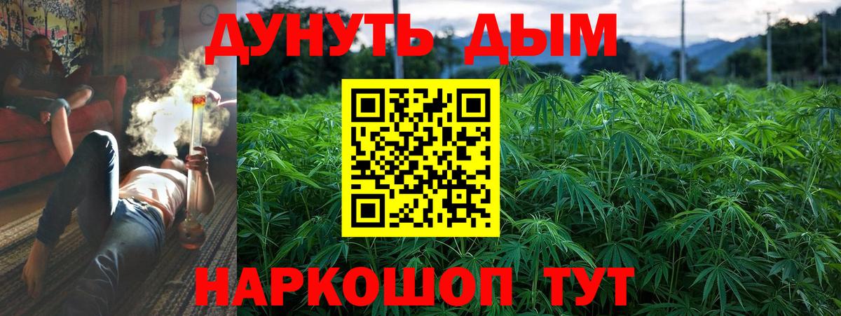 Марихуана план  МАРИХУАНА ГИДРОПОН  Таганрог  Вход с VPN  Каннабис White Widow 